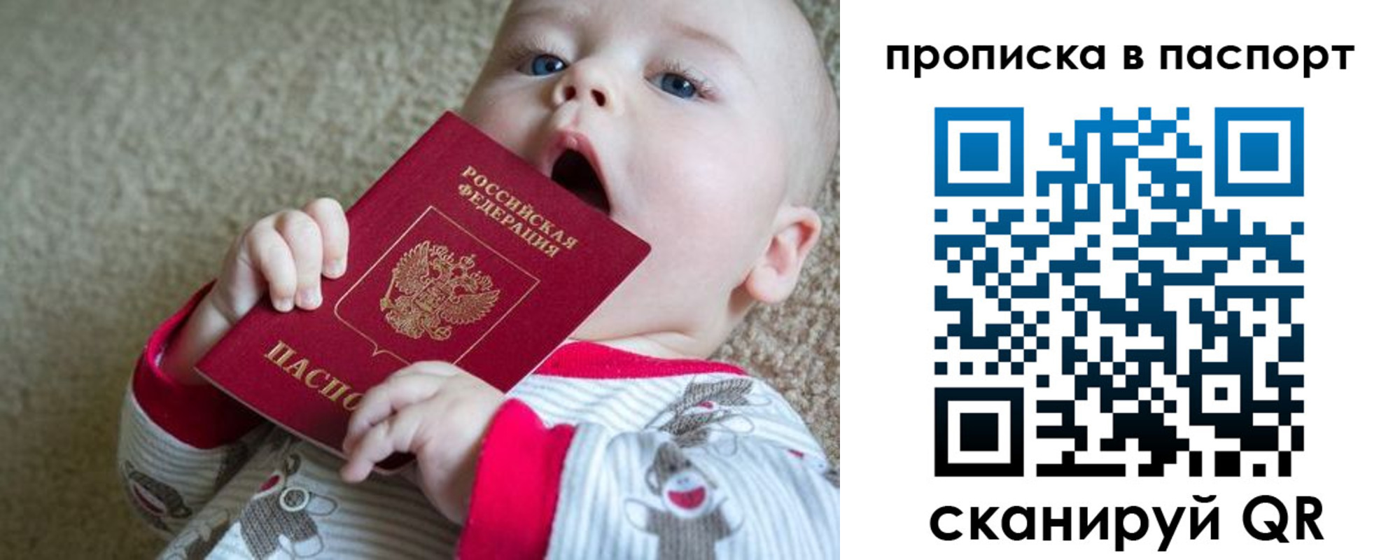 временная регистрация гарантия в Щиграх